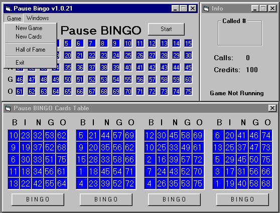 Bingo Program